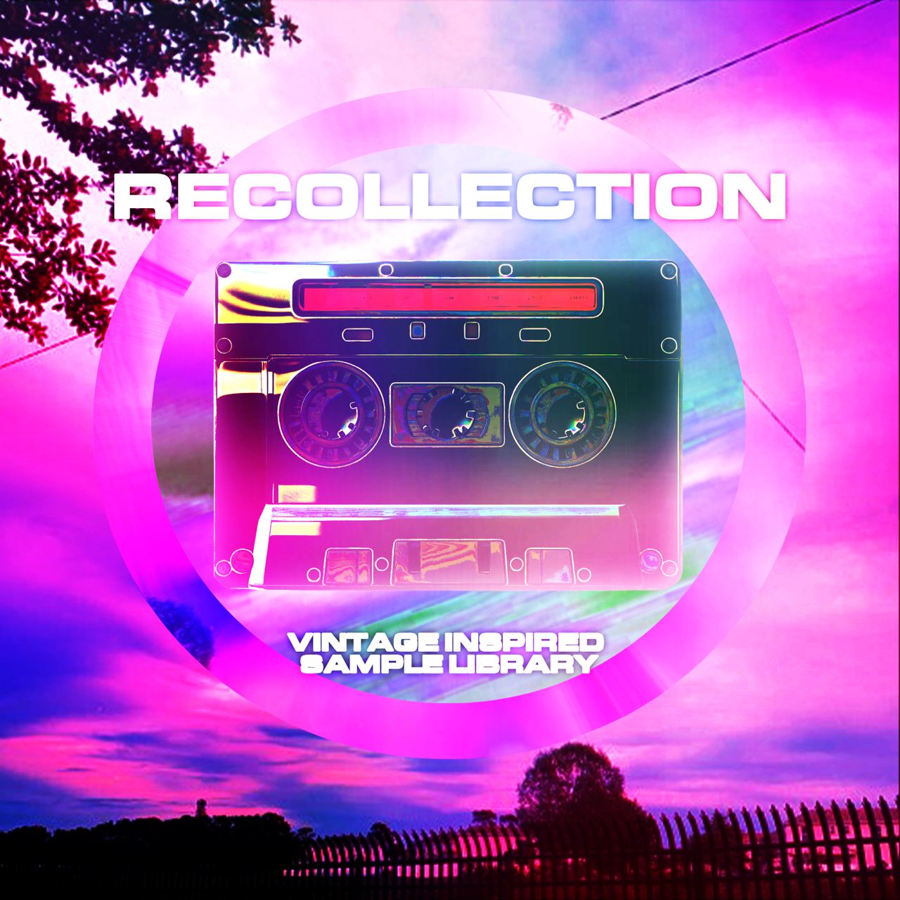 RECOLLECTION LOOP KIT